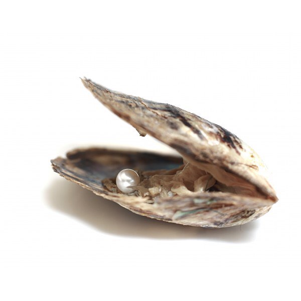 13925381_896930673768204_3499236145079242713_n