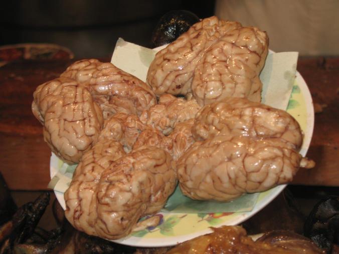 18-14_se ovcja glava za slovo